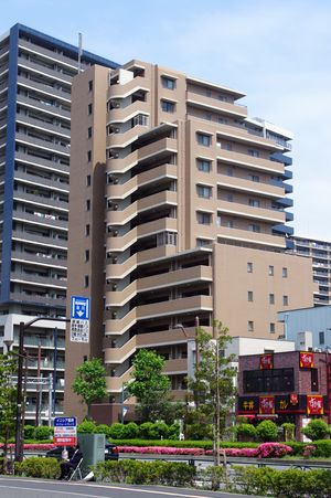 01_r_IMGP6502