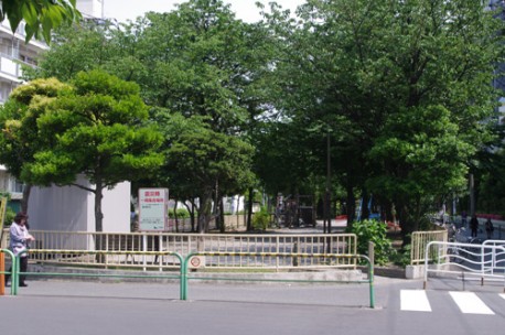 12_pri_public
